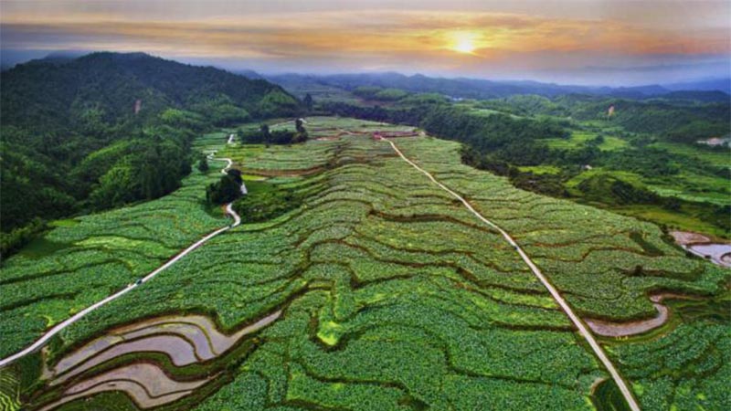 科技助力，農(nóng)旅結(jié)合 紅色老區(qū)建寧“綠色崛起”