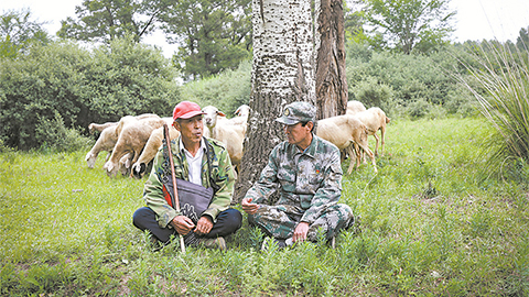 高清大圖｜塞北荒山，老兵播種“綠色夢”