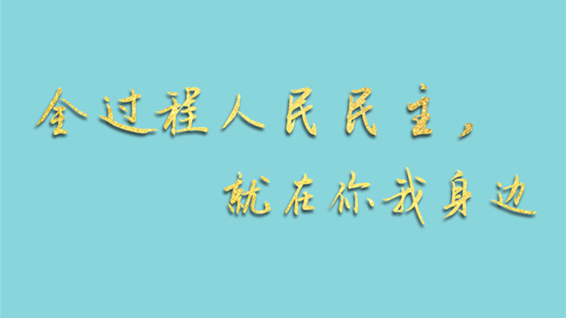 兩會手繪長卷：全過程人民民主，就在你我身邊