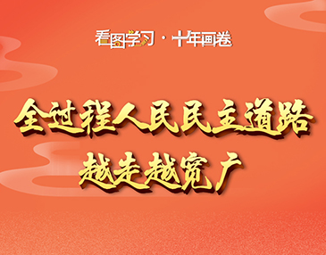 看圖學(xué)習(xí)·十年畫(huà)卷丨全過(guò)程人民民主道路越走越寬廣